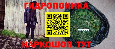 гашик Заволжье