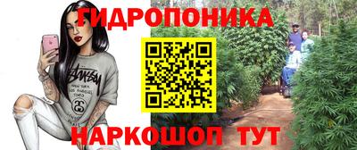 гашик Заволжье