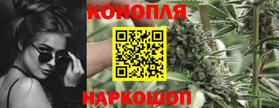 гашик Заволжье