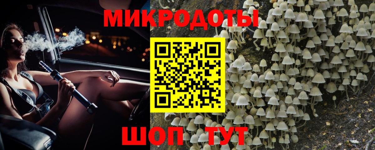 Псилоцибиновые грибы Psilocybe  Вход с VPN  Галлюциногенные грибы MAGIC MUSHROOMS  Малгобек 